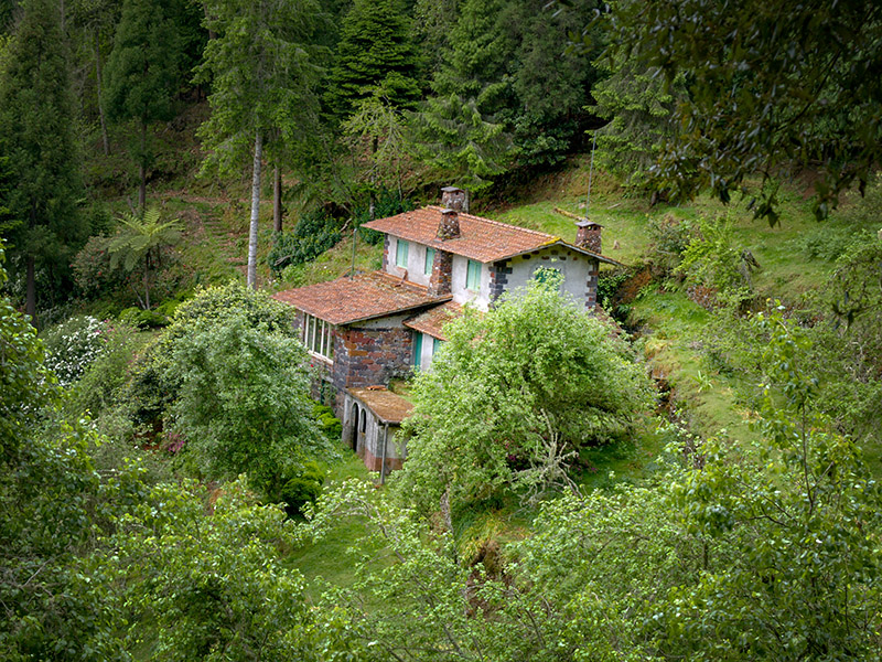 Sc3007.jpg