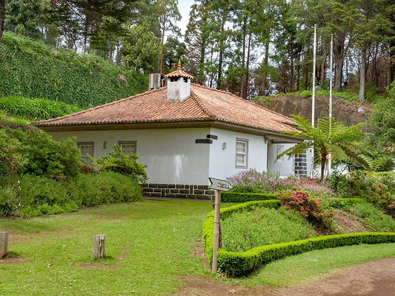 Sc3015.jpg