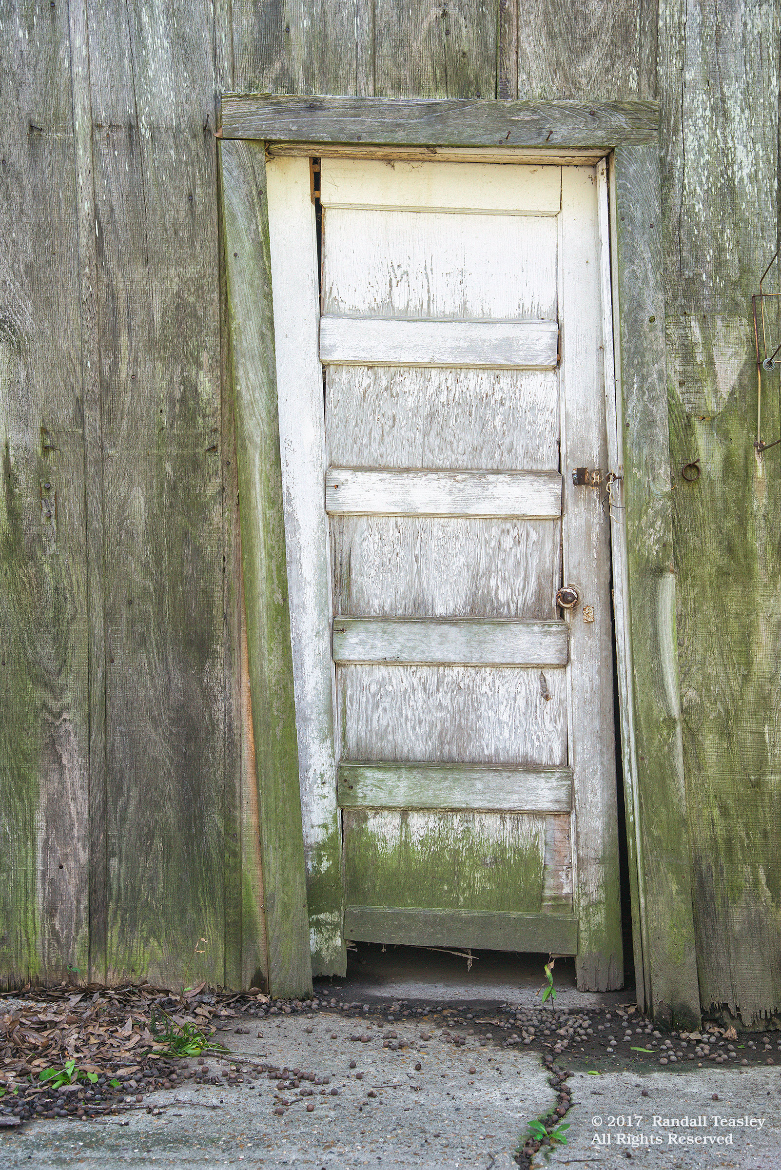 Joe-Canonici-Barn-Door-Shaw MS