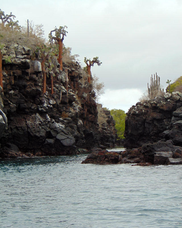 Entrance to the lagoon with the baby sharks, Galapagos