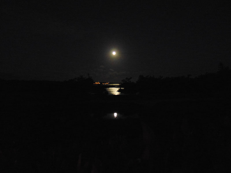 A moonlit evening at Finch Bay Hotel, Galapagos