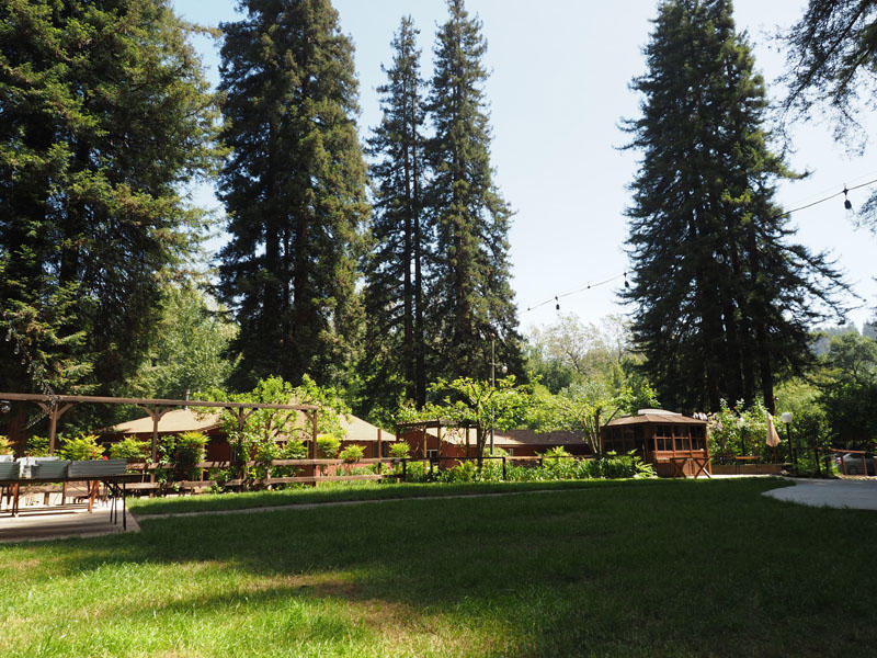 Buildings in Fern River resort