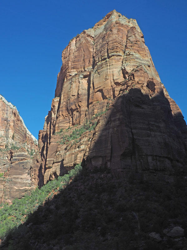 Angels Landing, Zion NP - the destination for the most challenging hike in the park