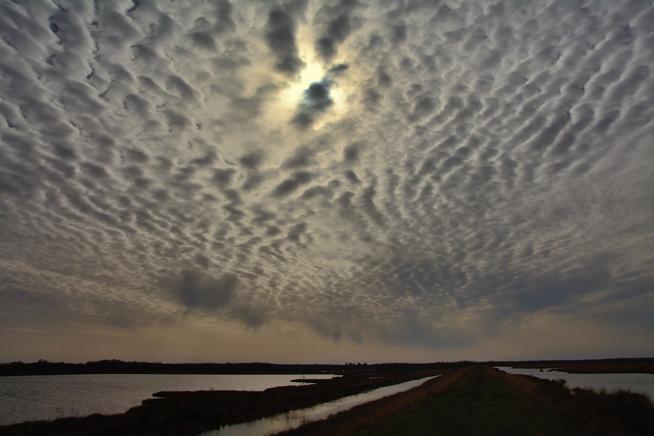 Wolken