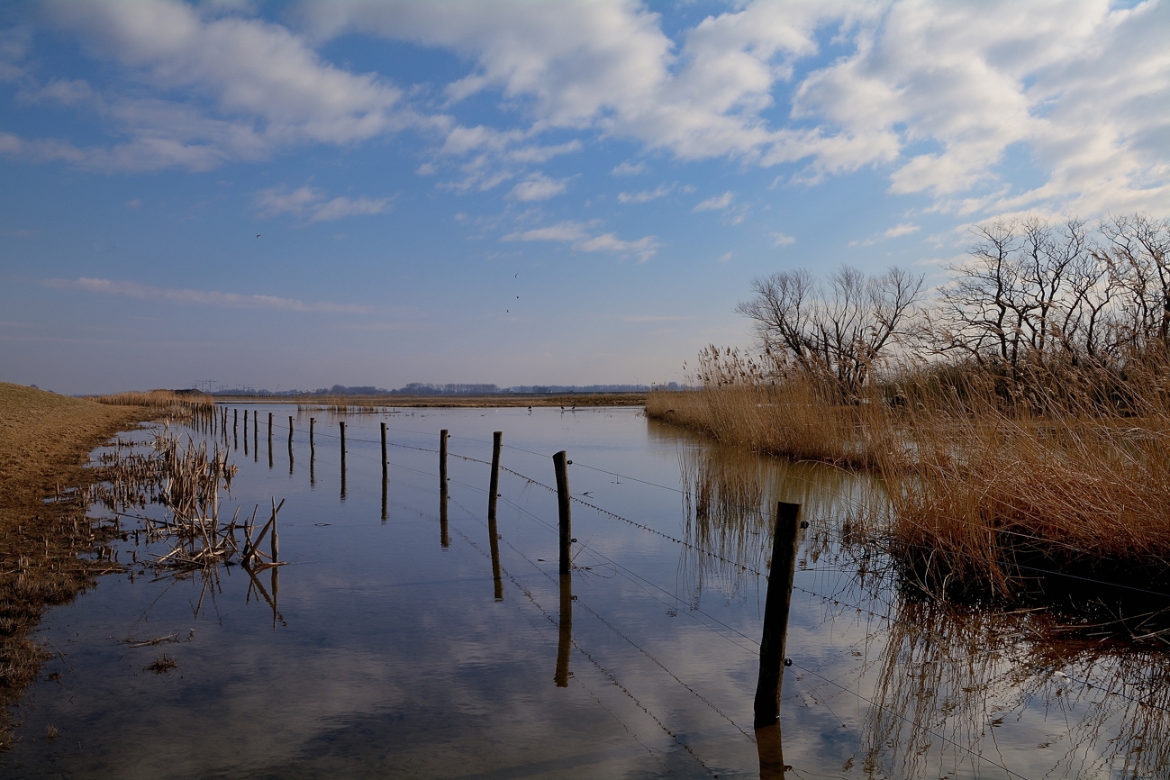 De Biesbosch 