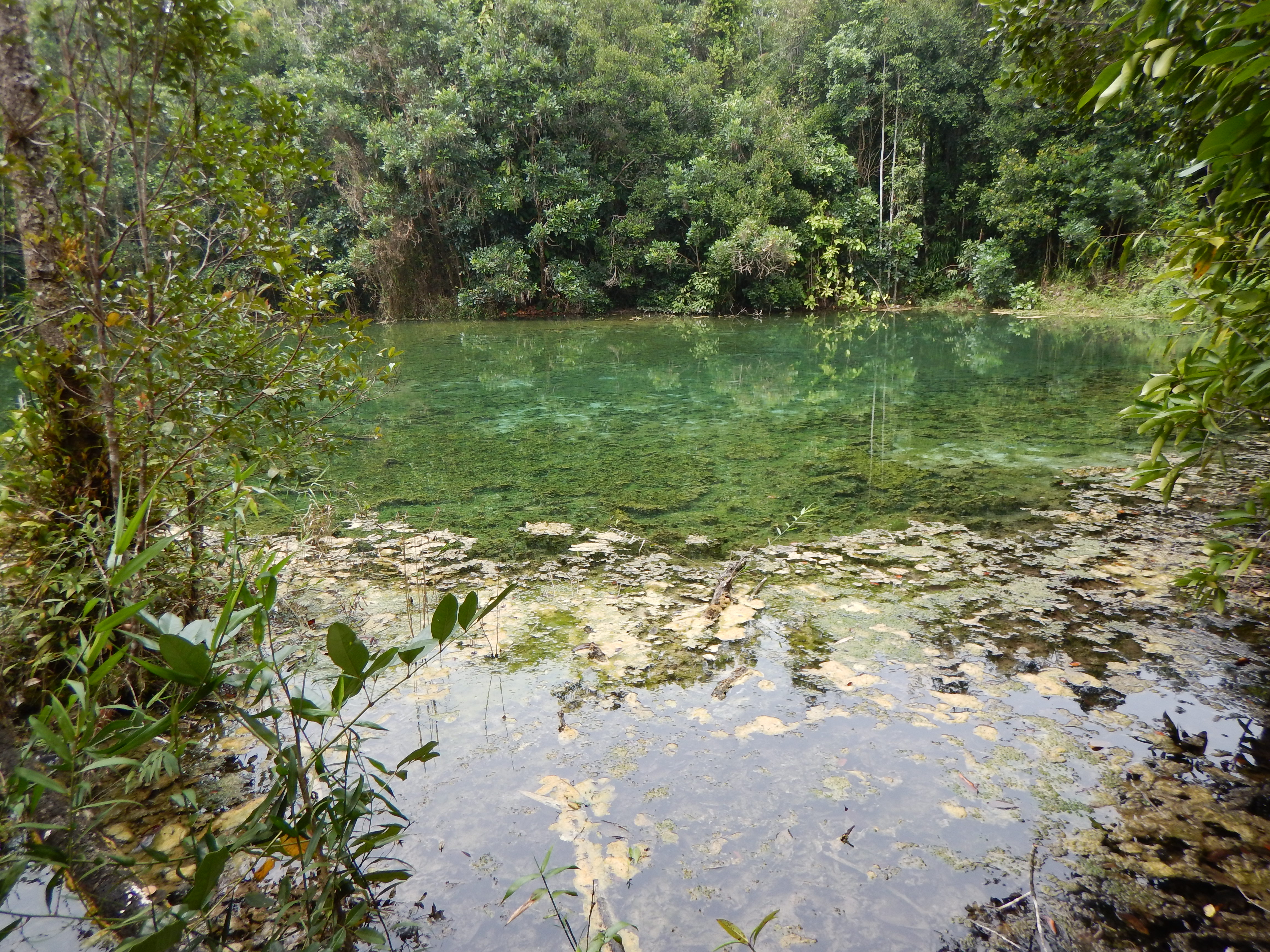 Downstream from Emerald Pool