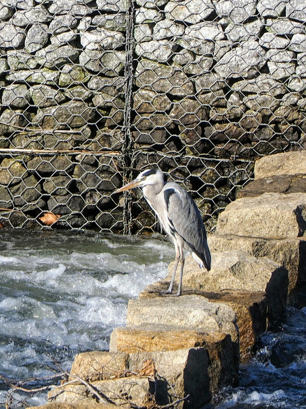 By the river 