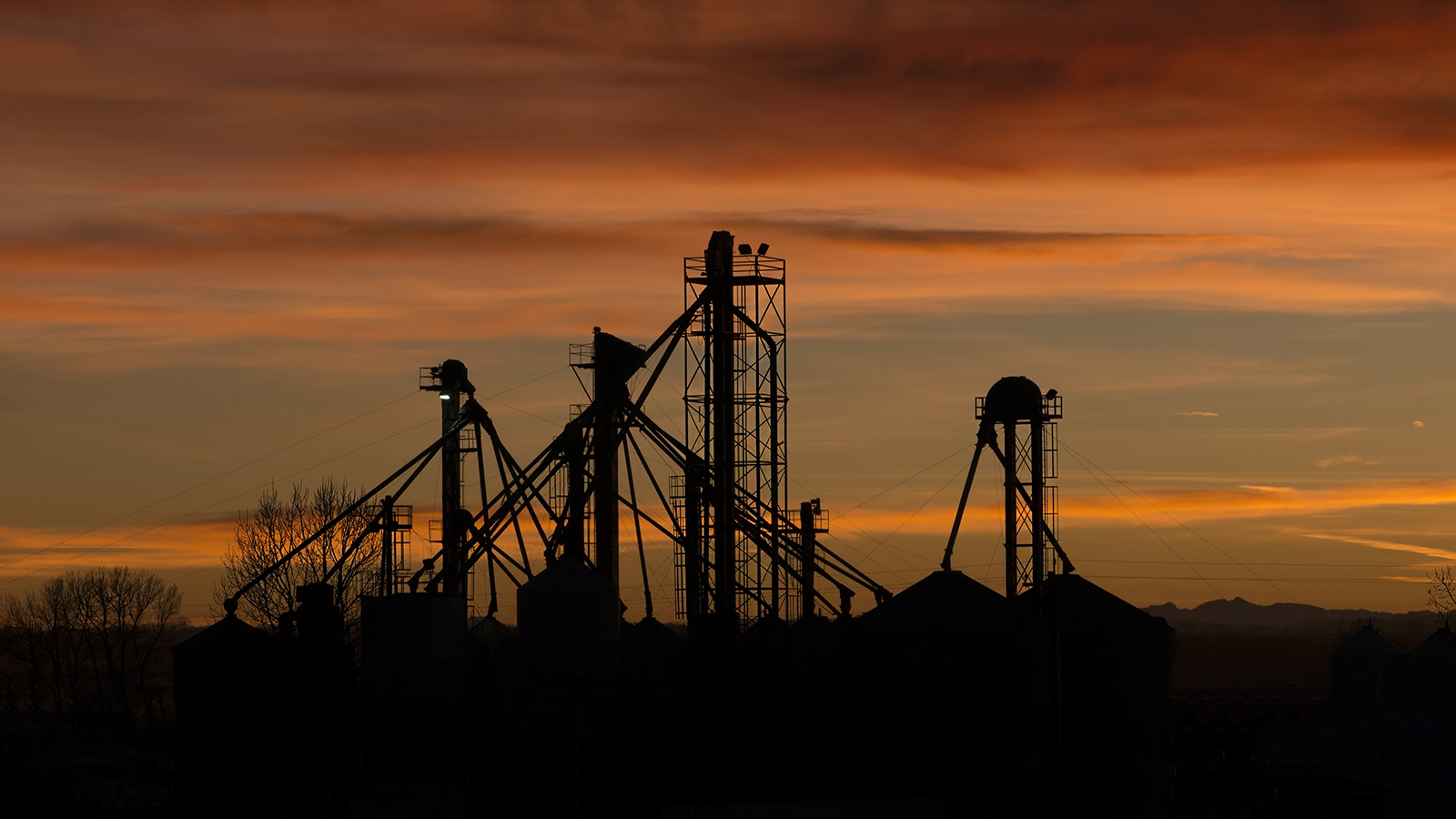 Sunset Silhouettes