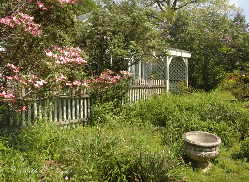 Dereks Garden