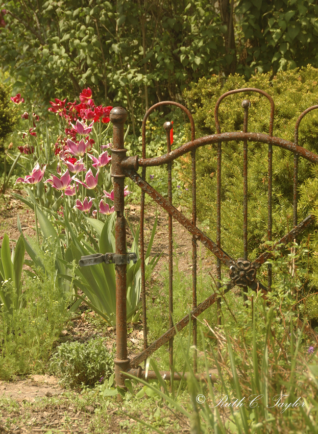 Iron Gate