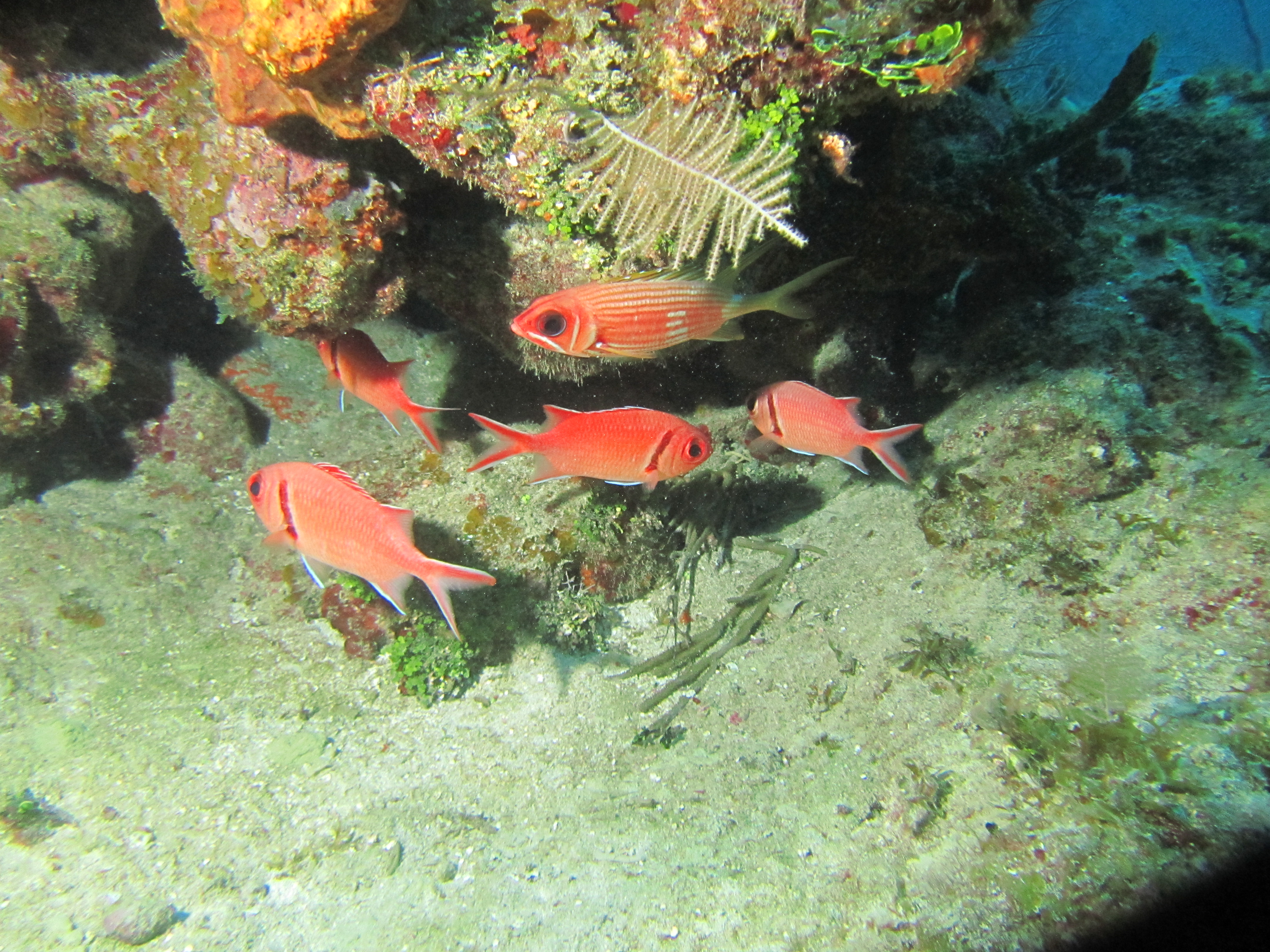 IMG_0057.JPG
