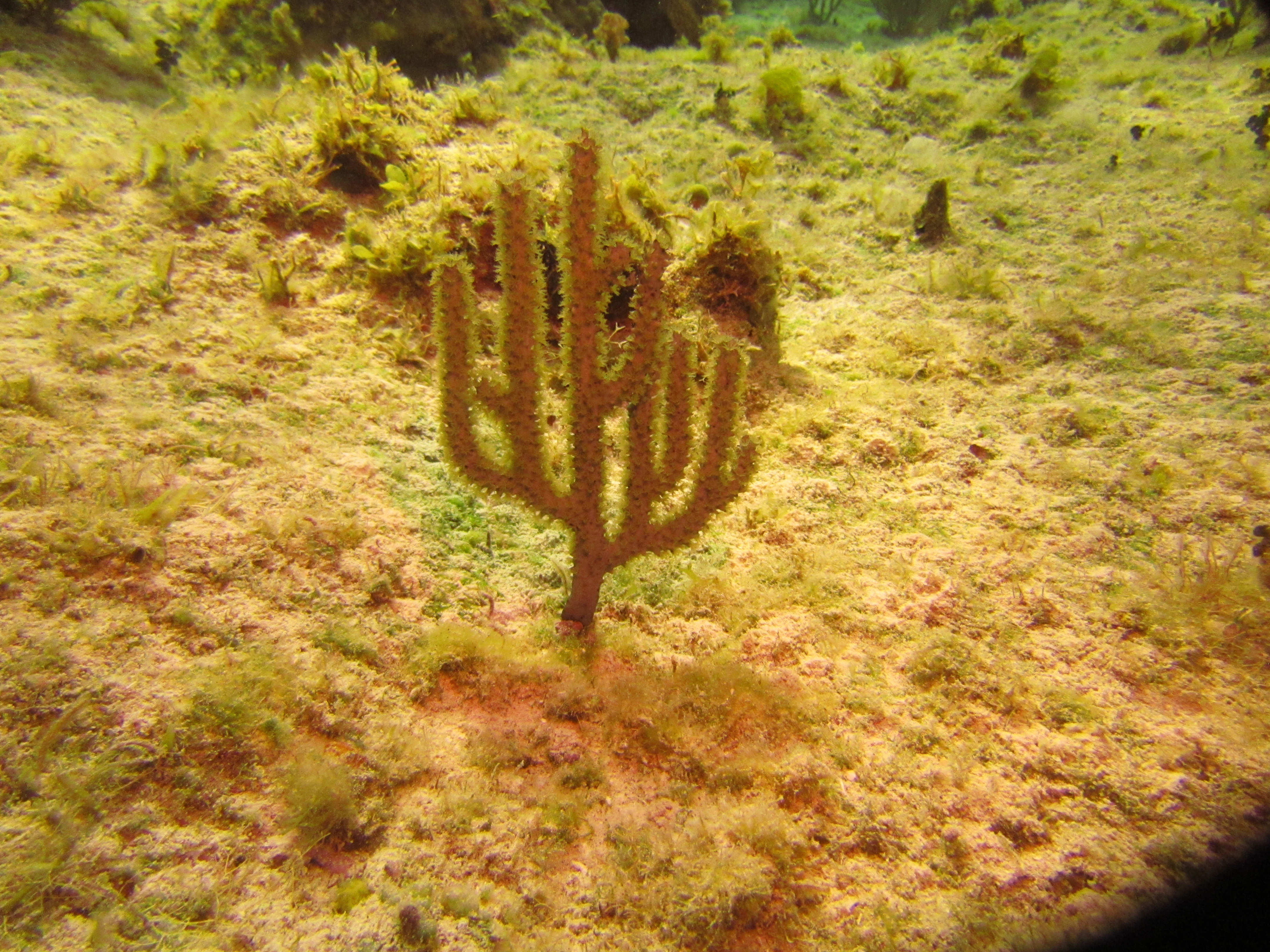 IMG_0118.JPG