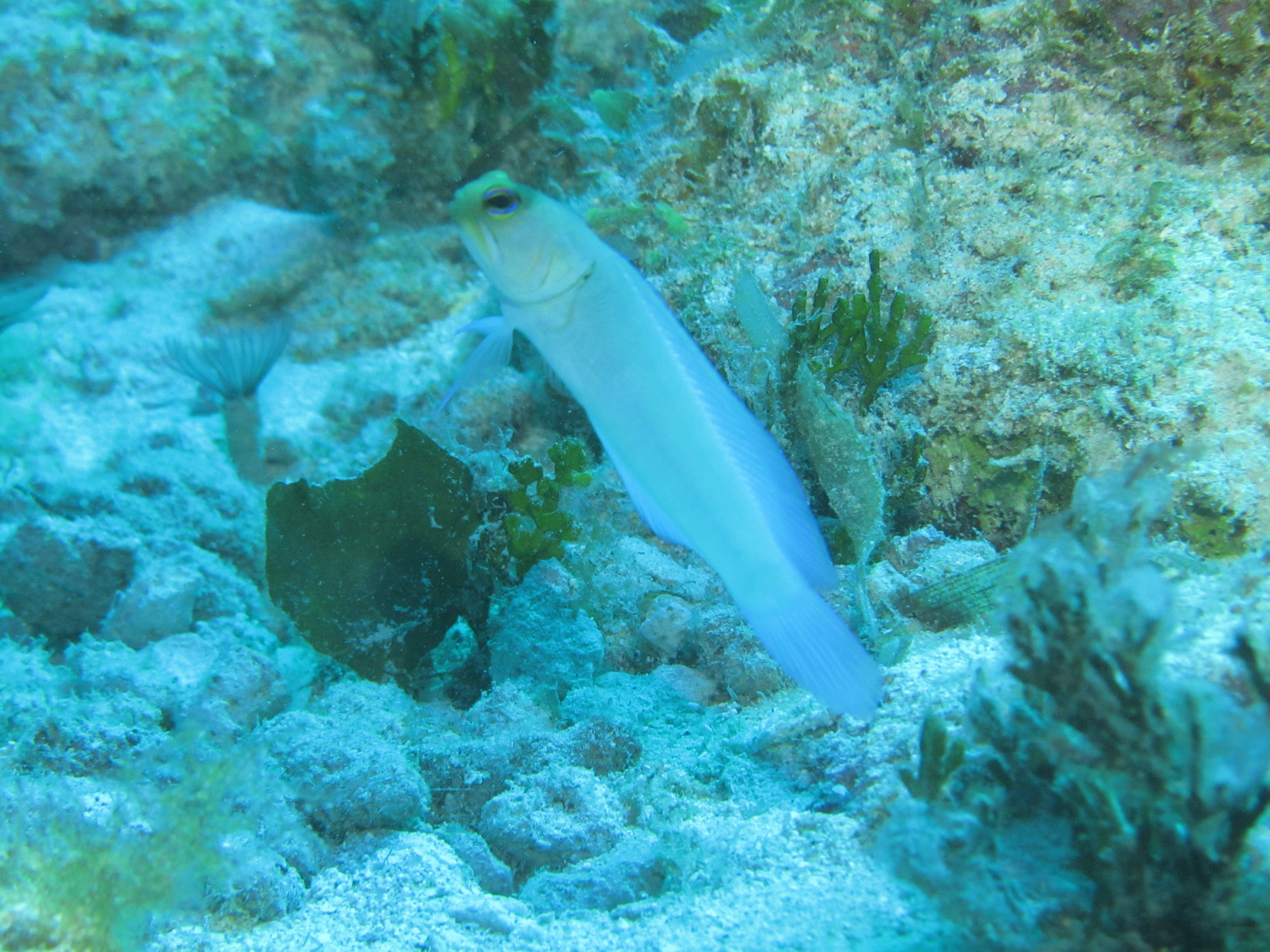 IMG_0106.JPG