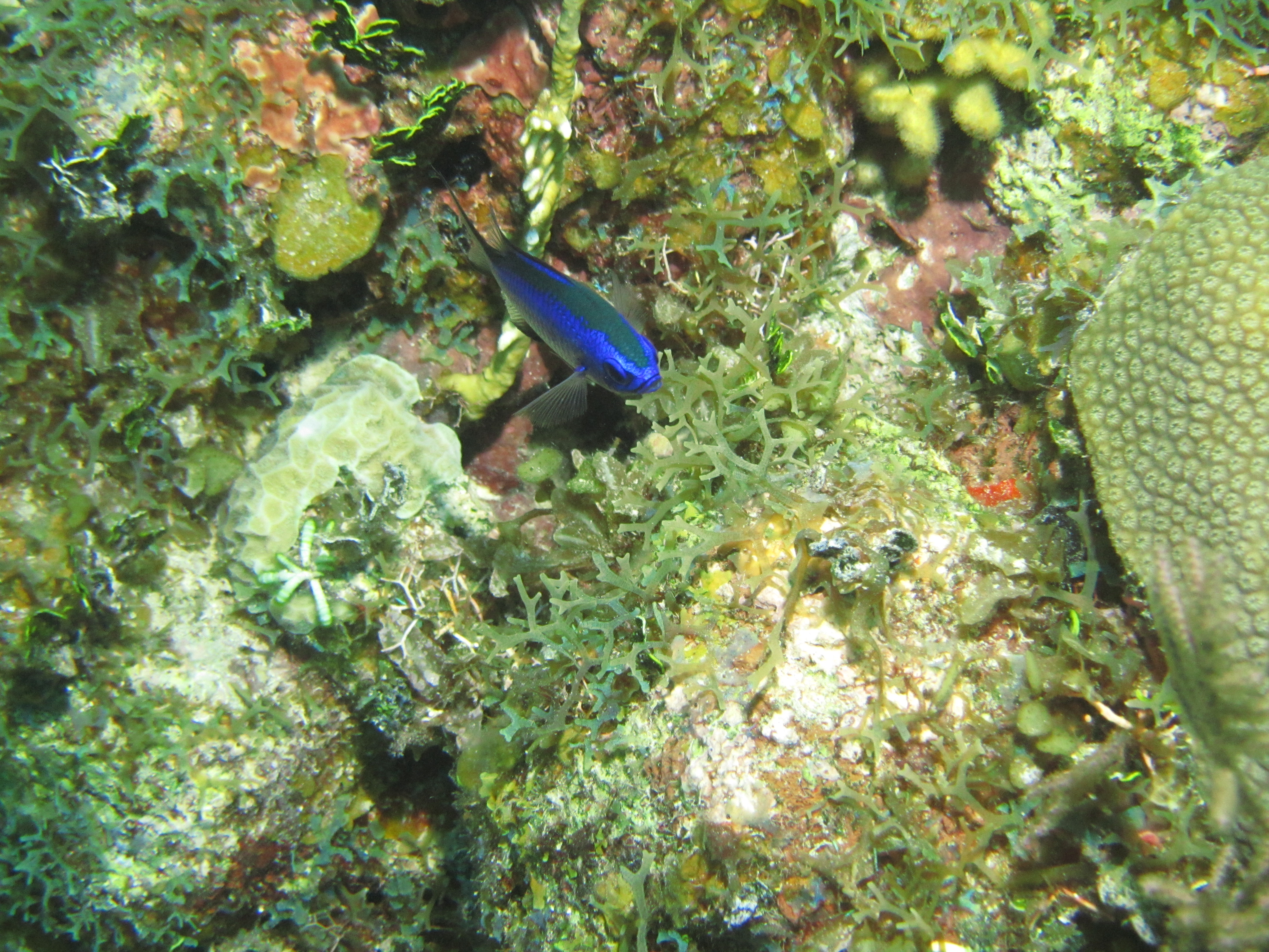 IMG_0149.JPG
