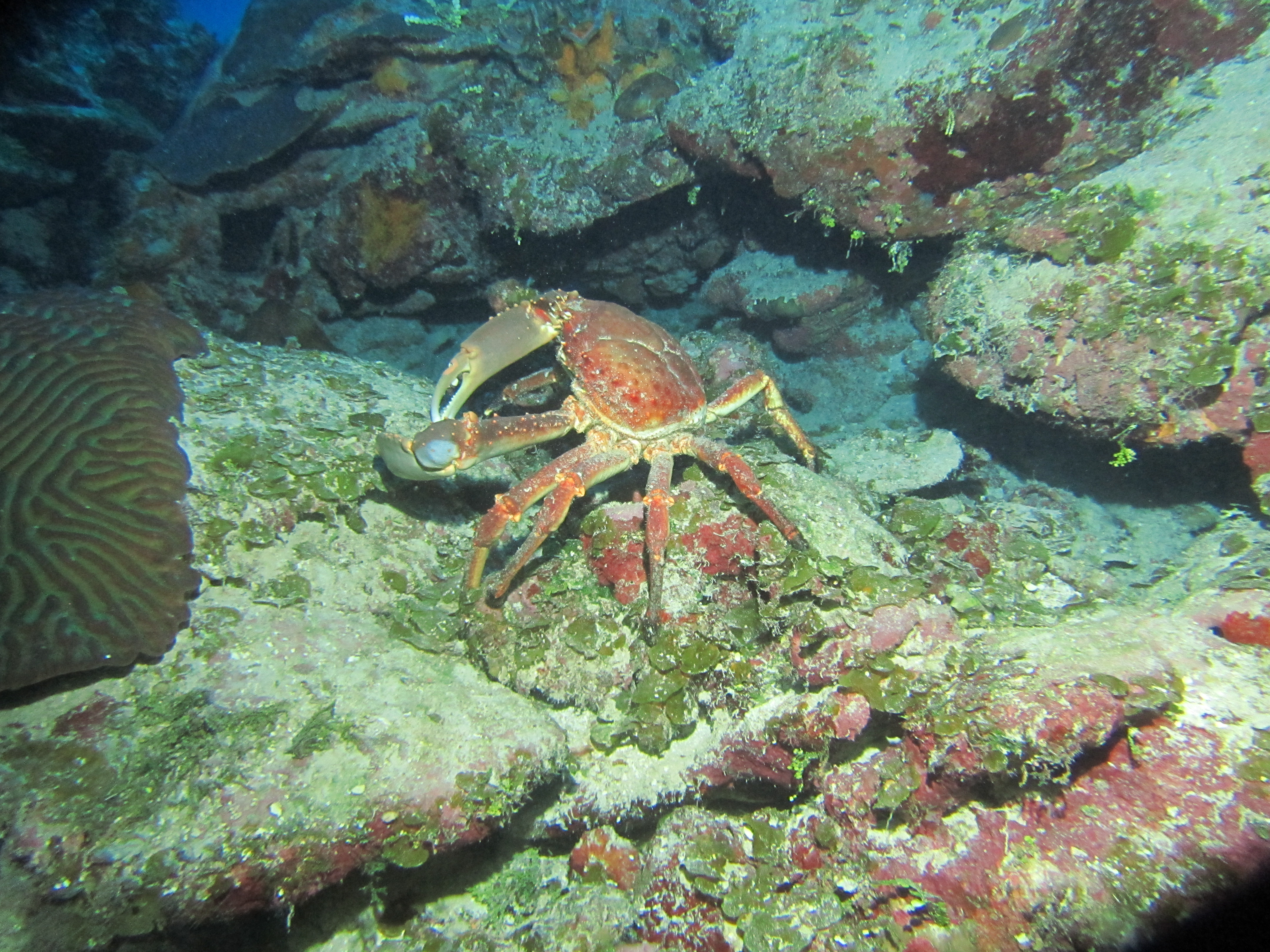 IMG_0083.JPG