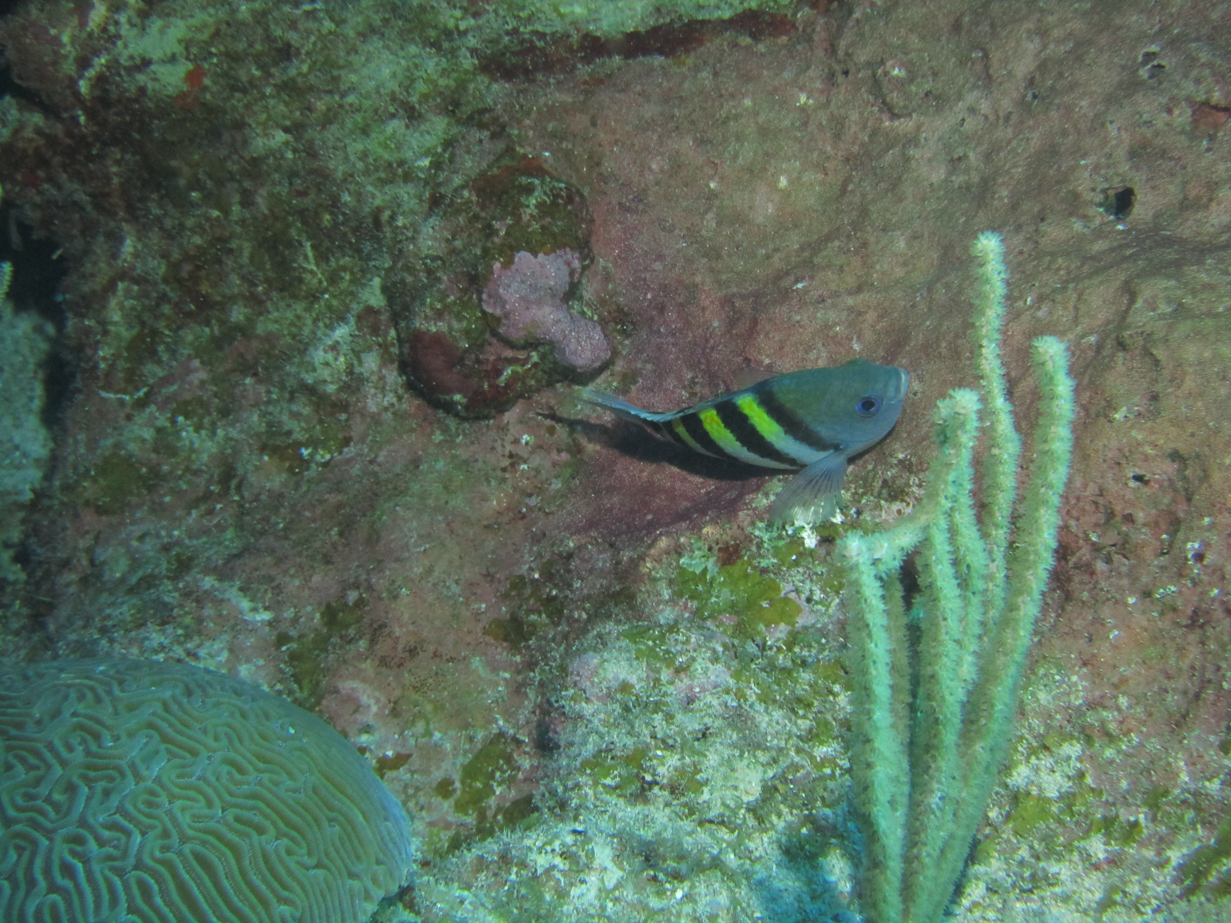 IMG_0109.JPG
