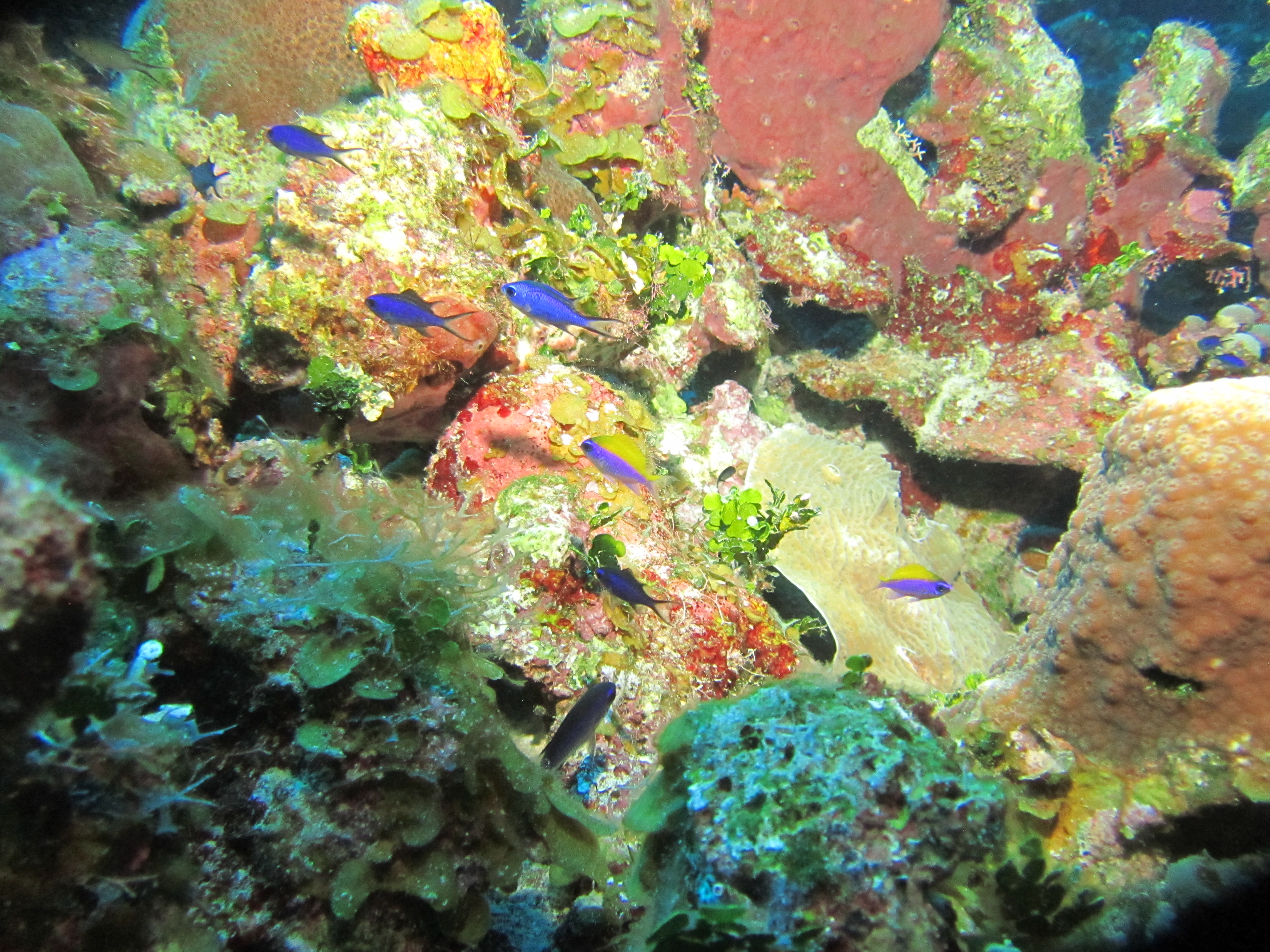 IMG_0087.JPG