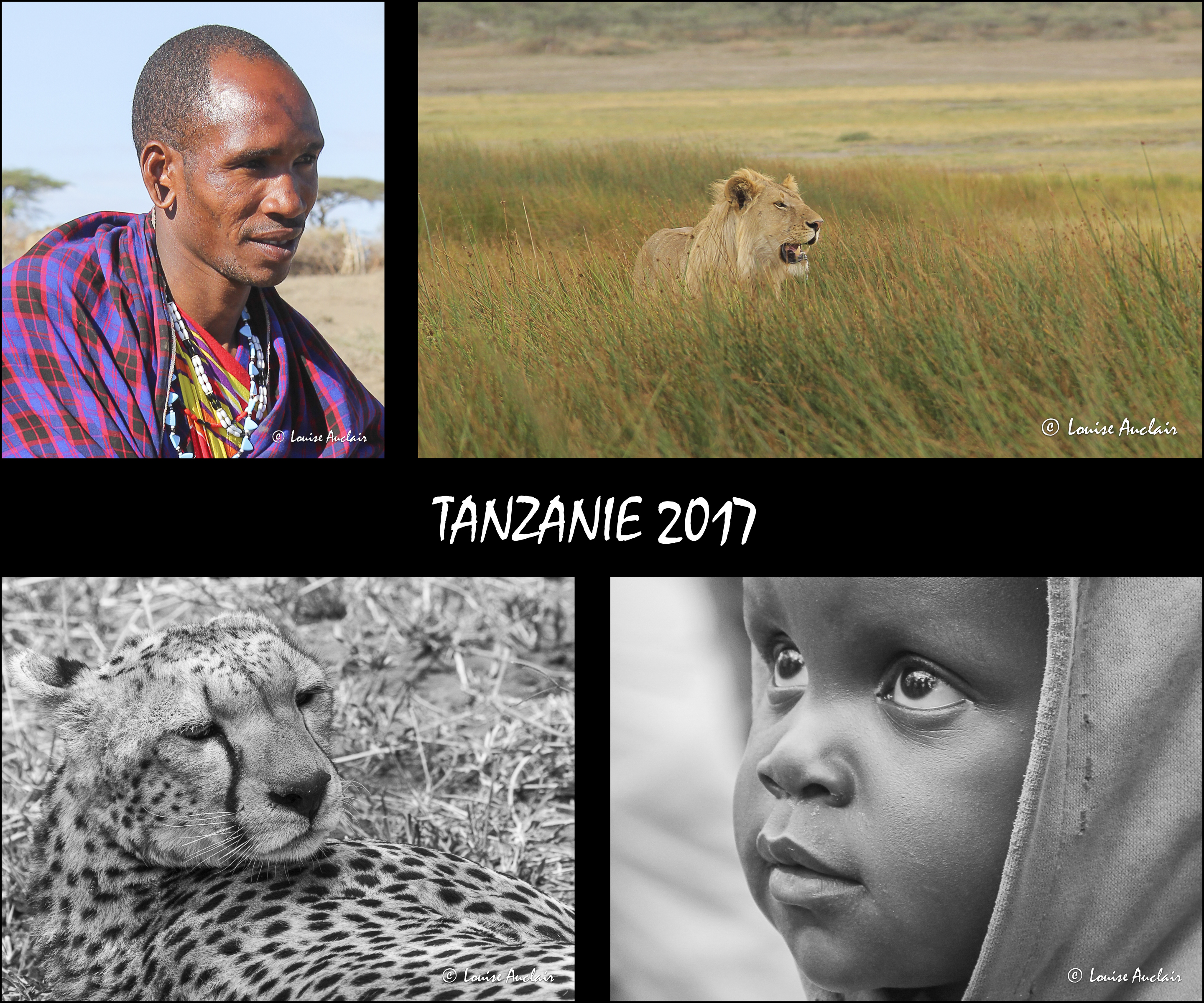 Allons  la rencontre du peuple et des animaux de la Tanzanie
