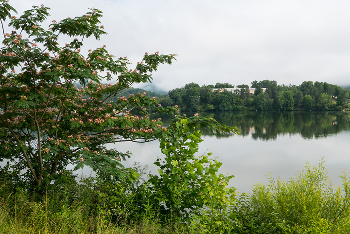 lx100__7140616.jpg