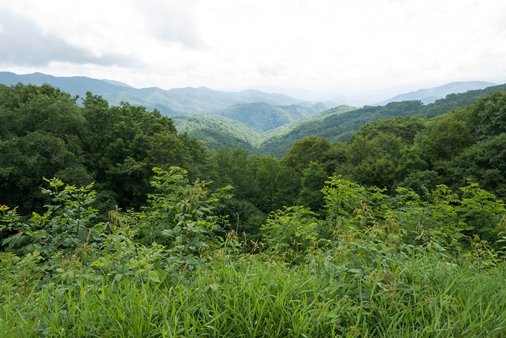 lx100__7140719.jpg