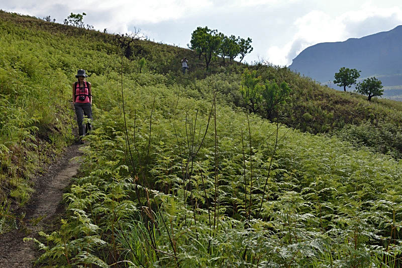 Drakensberg Mountains, Tugela Gorge Walk