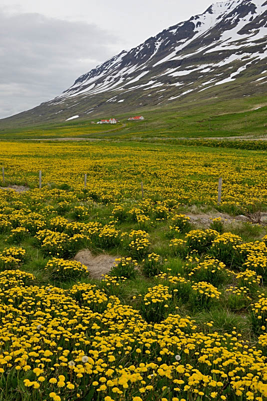 Road 1 to Akureyri