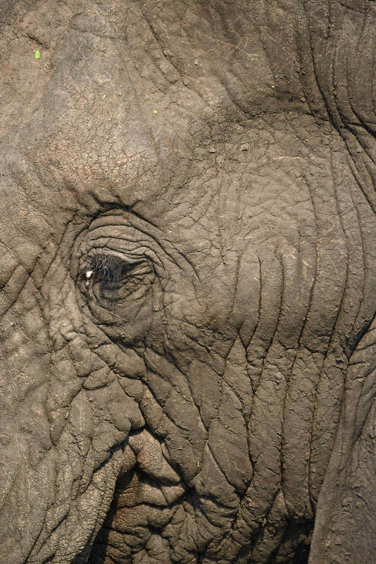 Kruger Park