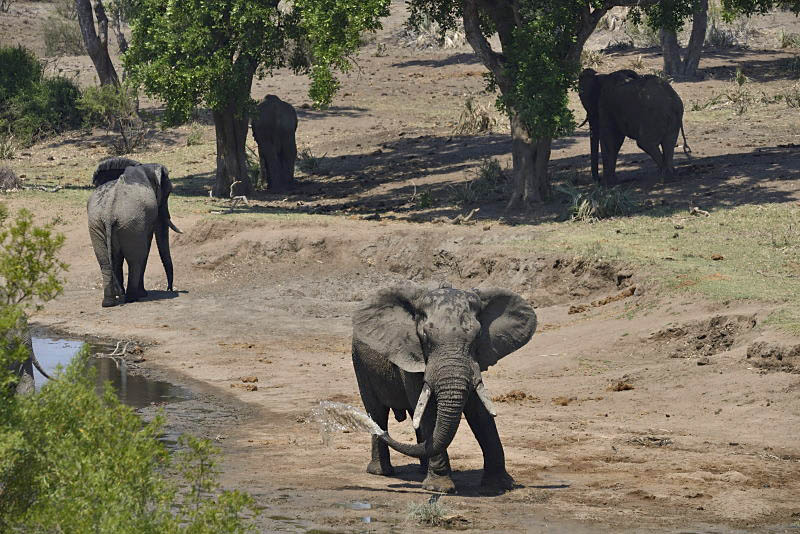 Kruger Park