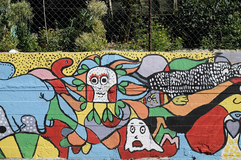 Bairro Padre Cruz, Leonor Brilha, Mariana Dias Coutinho 2016