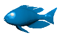 cartoon_tropical_fish_swimming_md_clr.gif