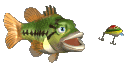 largemouth_bass_chasing_lure_md_clr_st.gif