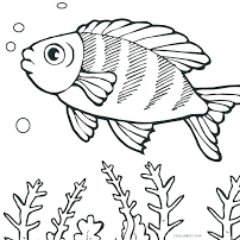 AVslfxiP_400x4001.jpg