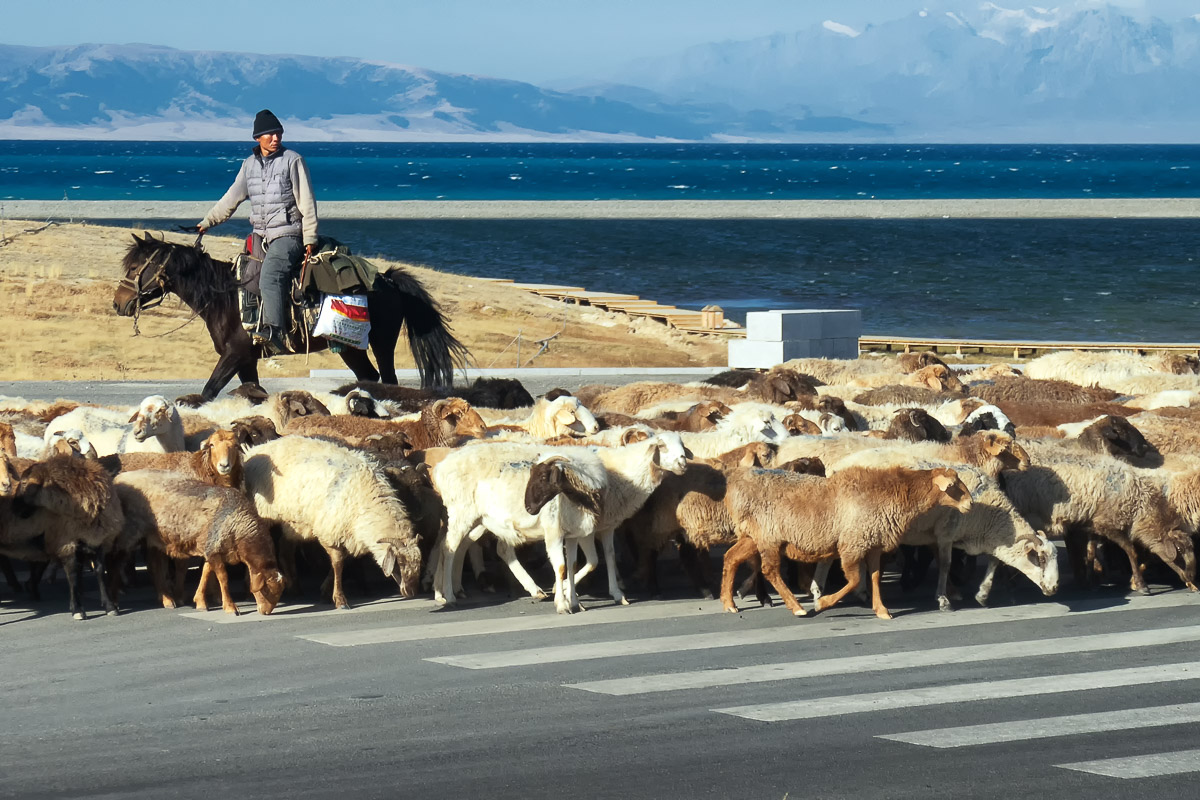 They Have The Right Of Way