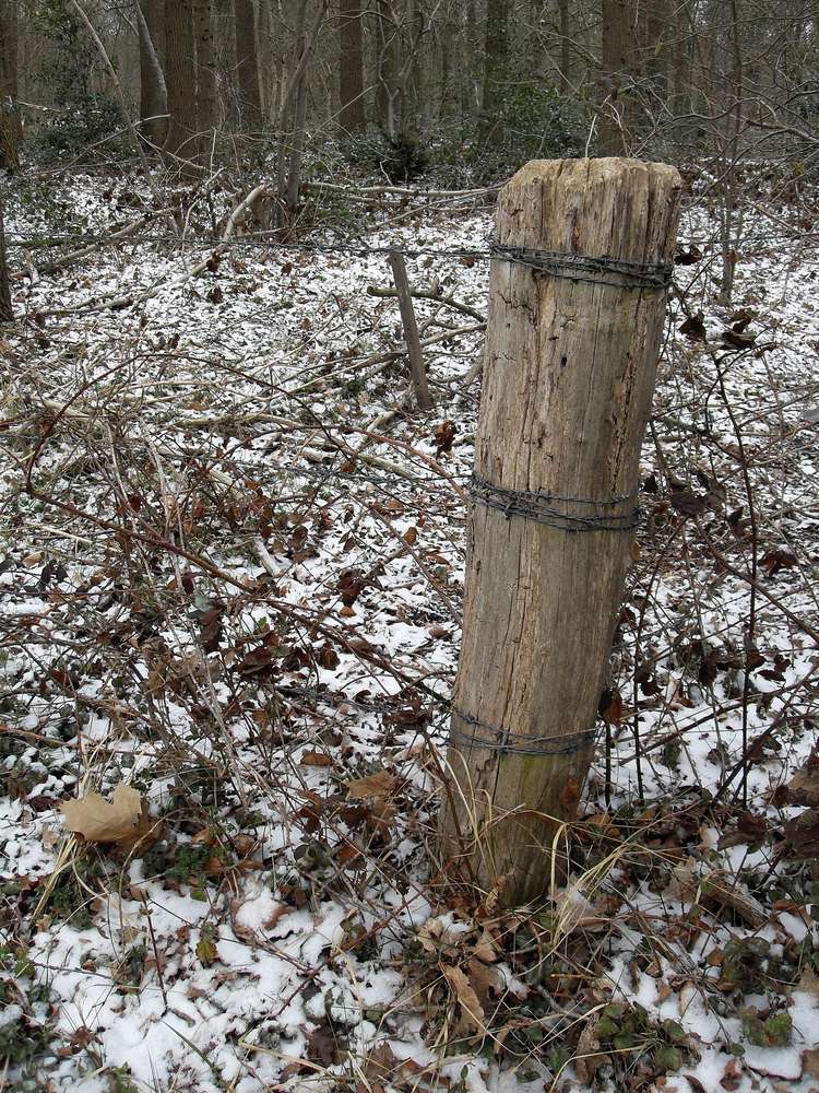 09-dek. wandeltocht.jpg