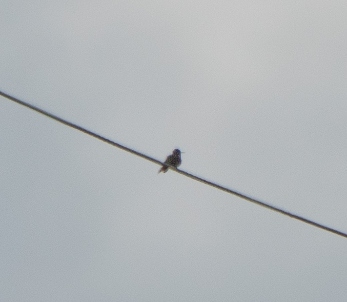 180617n0302.jpg