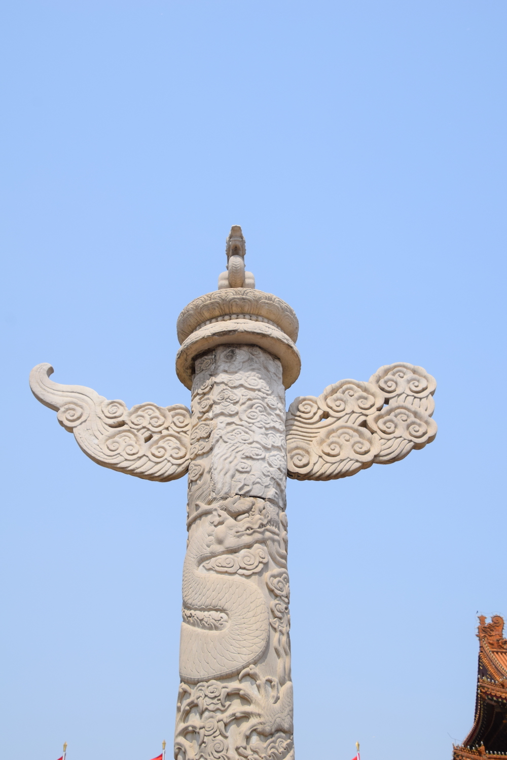 DSC_4773.JPG