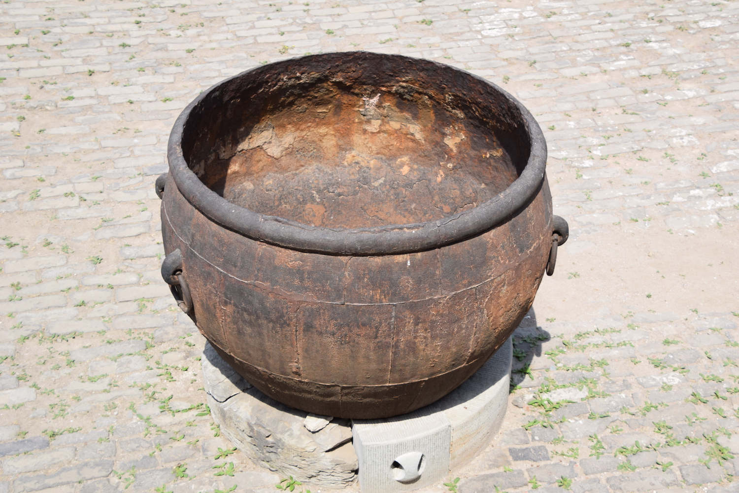 DSC_4817.JPG