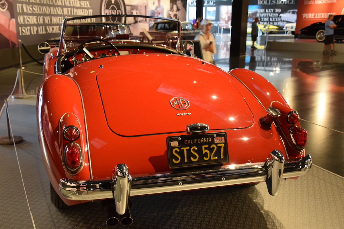 DSC_7904.JPG