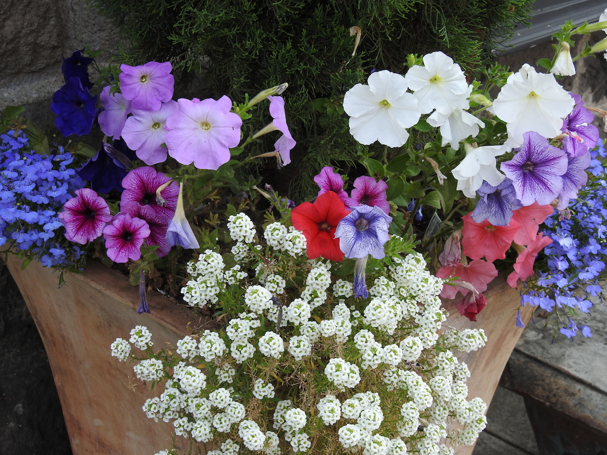 DSCN4309.JPG