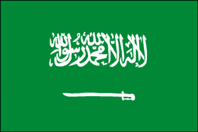 o10/61/338261/1/168511569.UFDPa9o3.Saudi.jpg