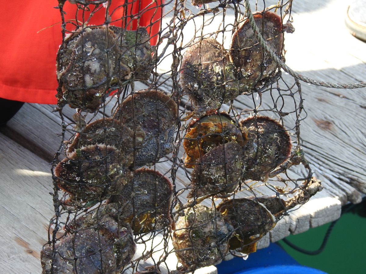 DSCN6520.JPG