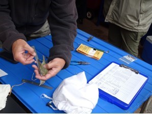 Ryan measuring wing_CHM.jpg