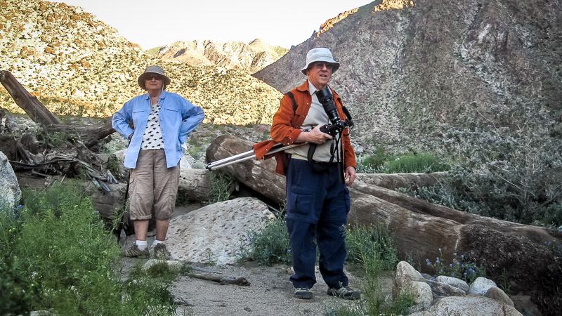 Palm Canyon Trail