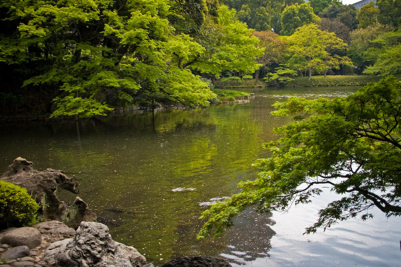 Hama-rikyu Gardens