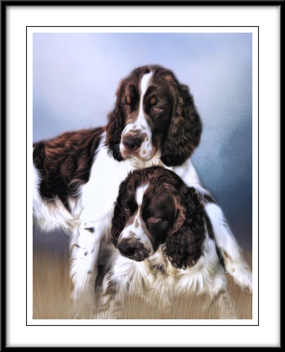 Happy New Year from Charlie and Jack...