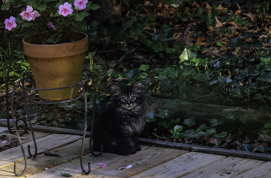 Are you looking at me?
