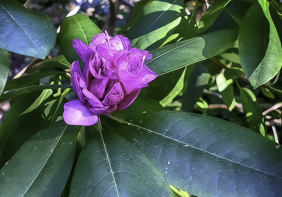 October Blooms