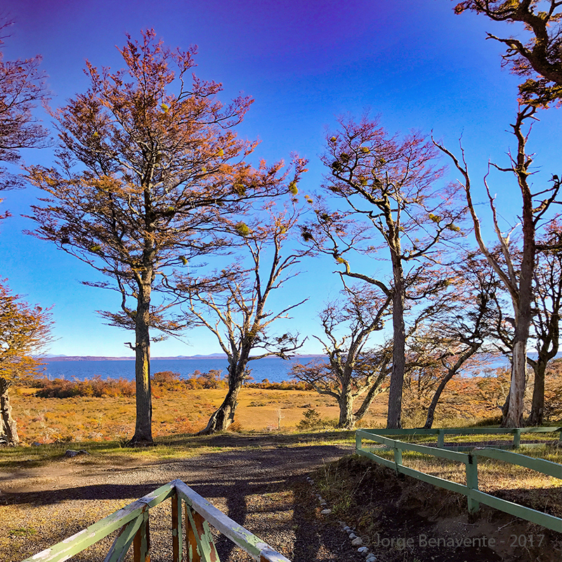 Lago Blanco, Tierra del Fuego, Chile