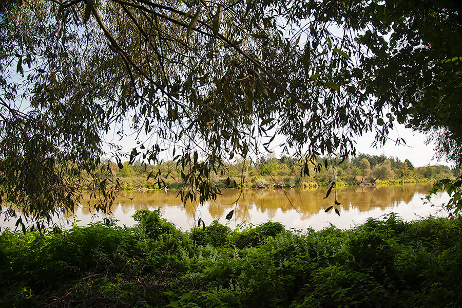 Bug River Near Drohiczyn