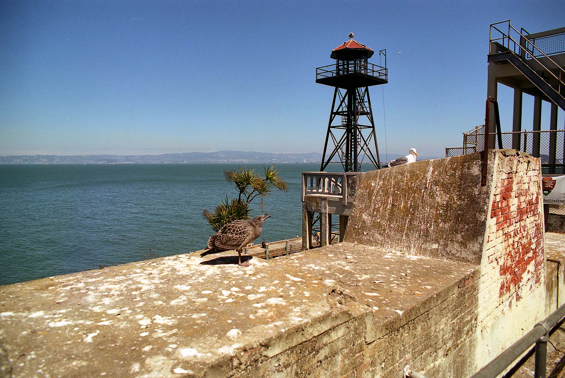 a view from Alcatraz Reala